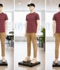 Short Sleeve Merlot Red Lined T-Shirt Picture From 3 Dimensions