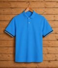 Short Sleeve Blue Polo Shirt Picture on Hanger